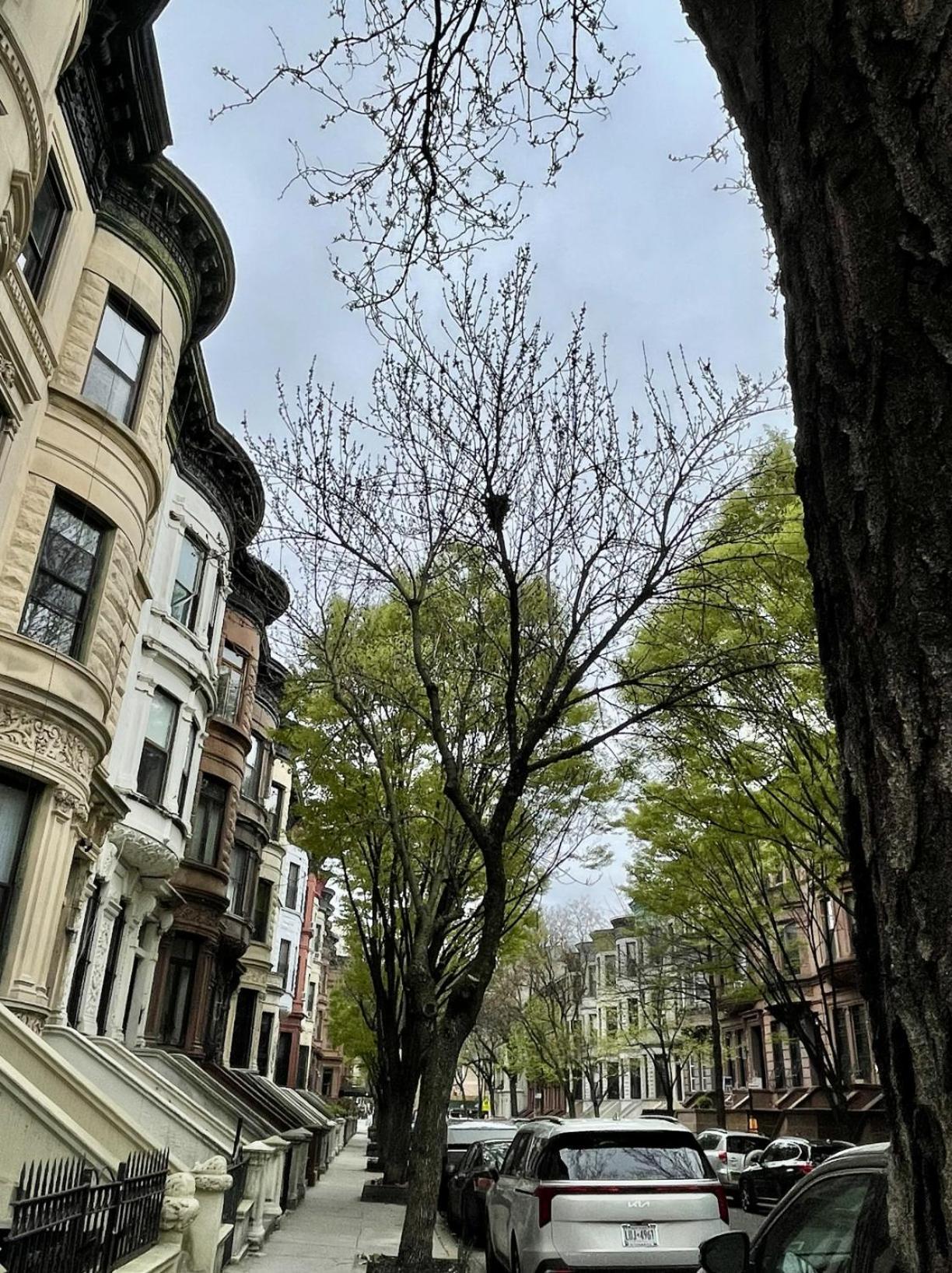 Nyc Townhouse Apartment Nova Iorque Exterior foto